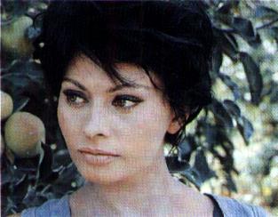 Sophia Loren